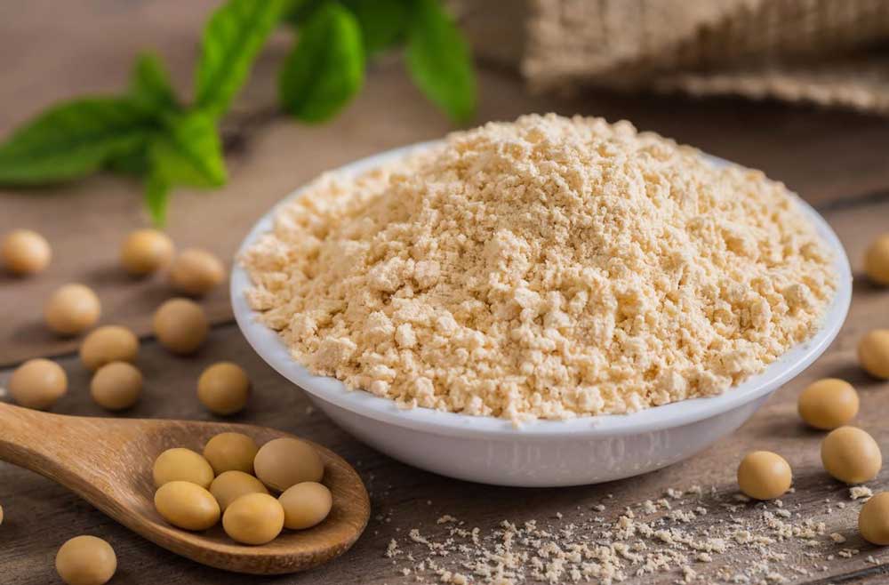 پروتئین سویا ایزوله, مجله پارسی پودر