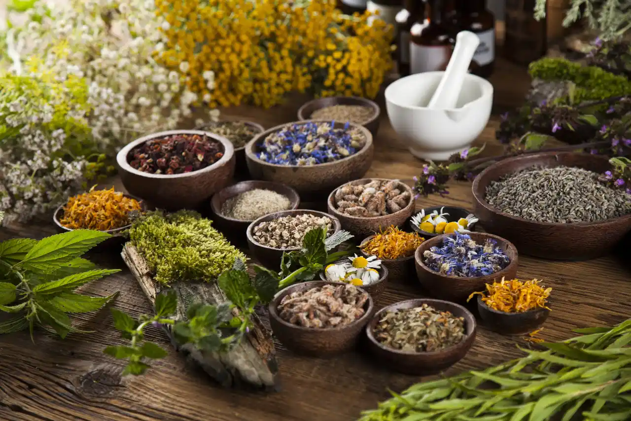 چربی خون, مجله پارسی پودر