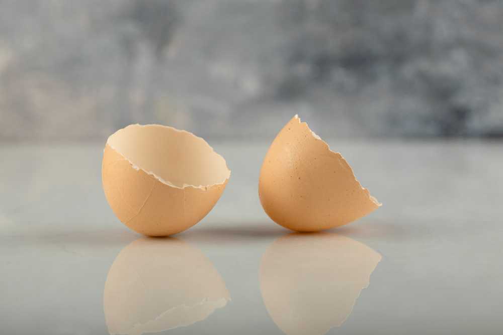 پودر سفیده تخم مرغ, مجله پارسی پودر