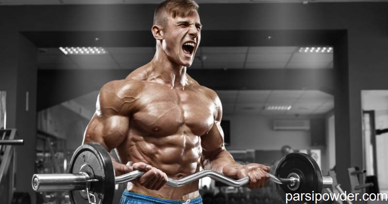 فیزیک ماسکولار 