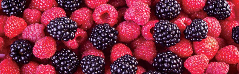 ماده غذایی برای چربی سوزی شکم تمشک