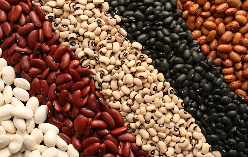 ماده غذایی برای چربی سوزی شکم لوبیا