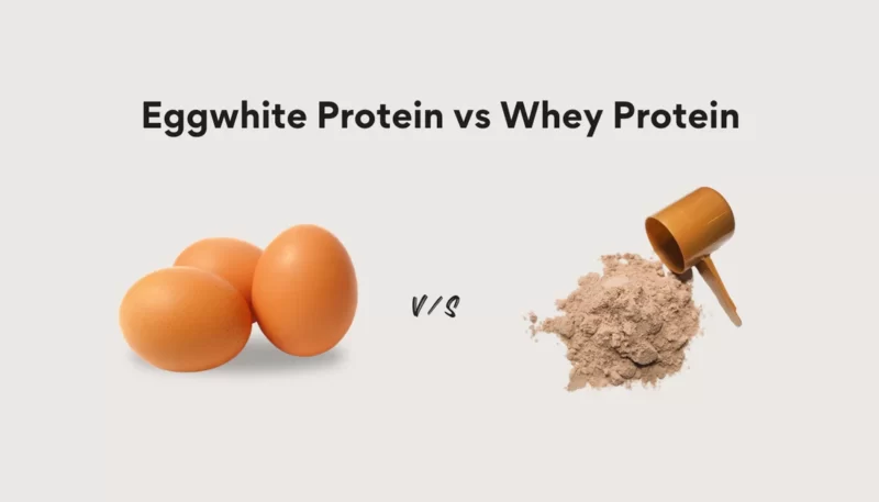 در چه صورت مصرف پودر سفیده تخم مرغ بیشتر از مصرف پروتئین وی توصیه می‌شود