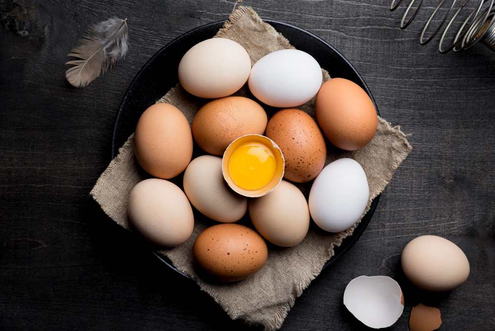 طریقه درست کردن پودر سفیده تخم مرغ, مجله پارسی پودر