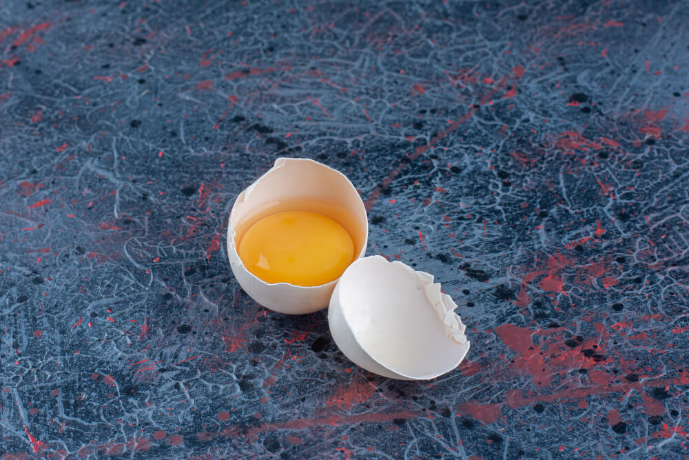 پودر سفیده تخم مرغ, مجله پارسی پودر