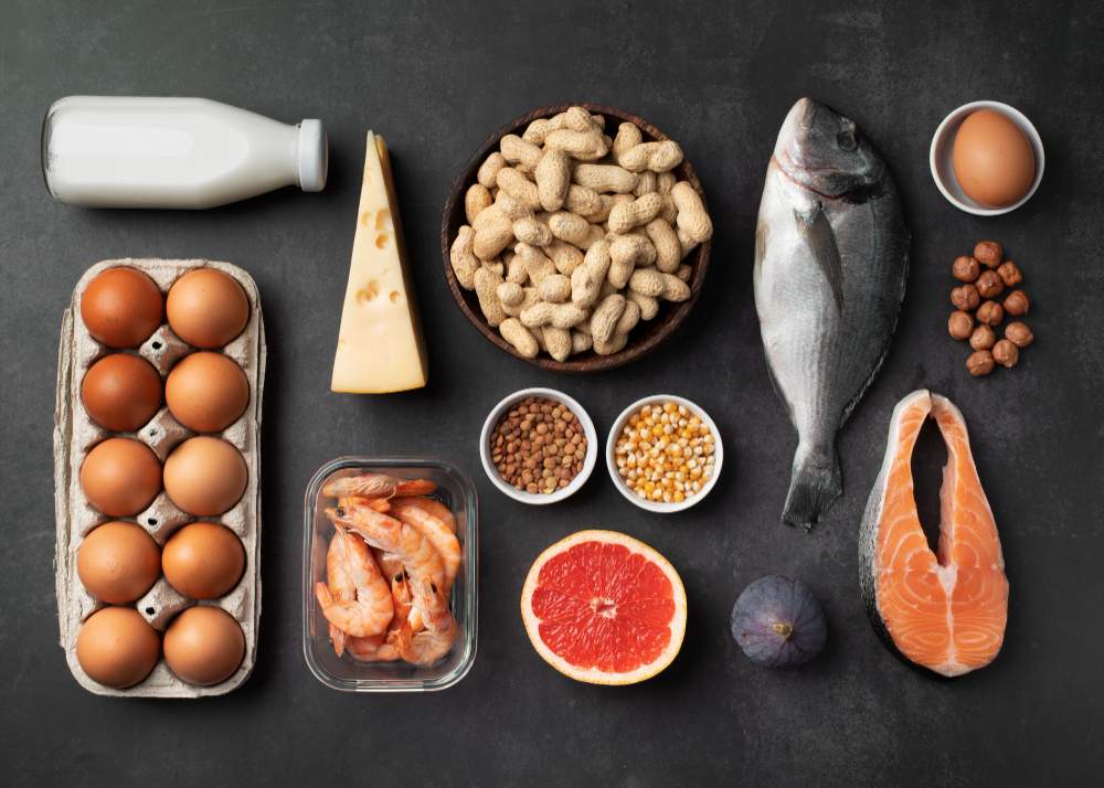 غذا های پروتئین دار برای لاغری, مجله پارسی پودر