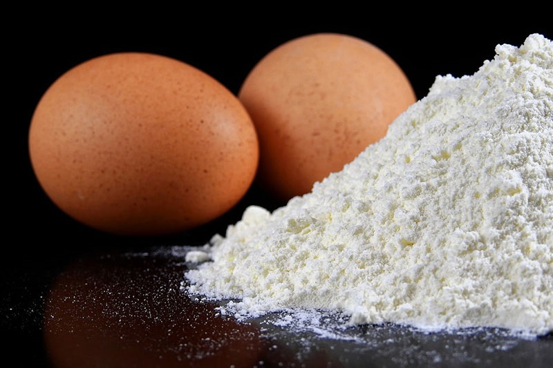 مهم ترین پروتئین­های پودر سفیده تخم مرغ