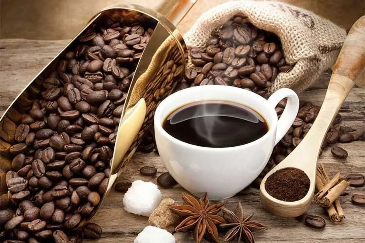 ال کارنیتین برای لاغری, مجله پارسی پودر