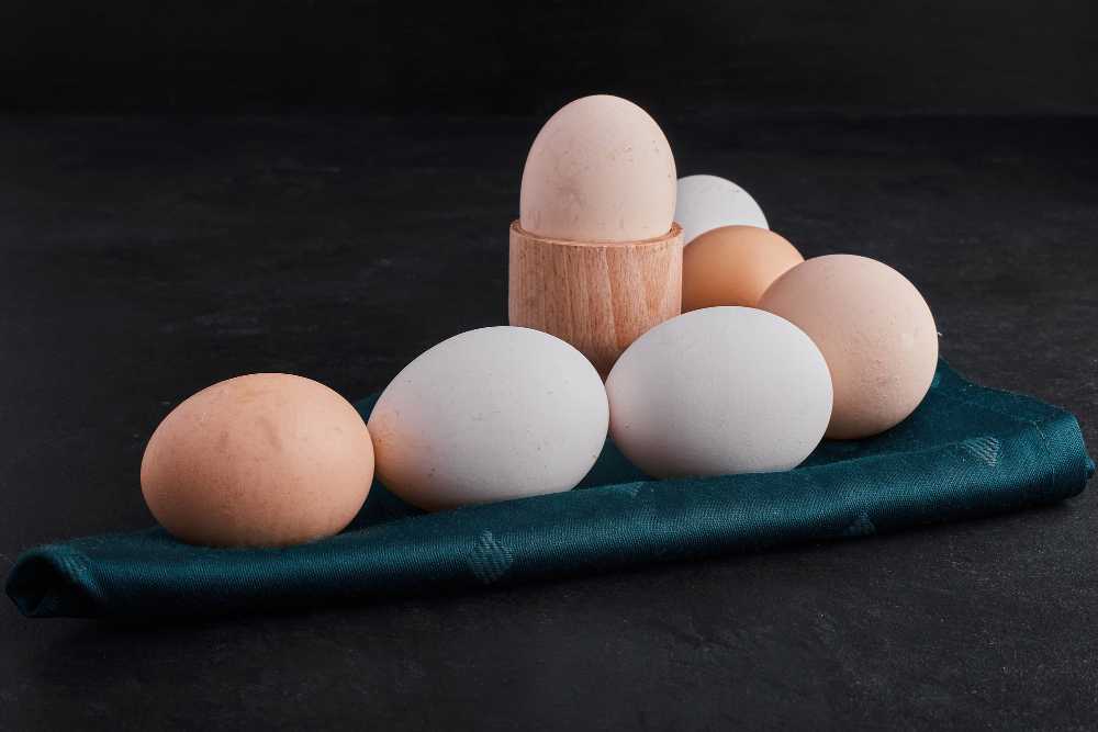 پودر سفیده تخم مرغ برای افزایش وزن, مجله پارسی پودر