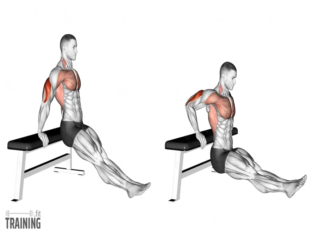 پشت بازو دیپ