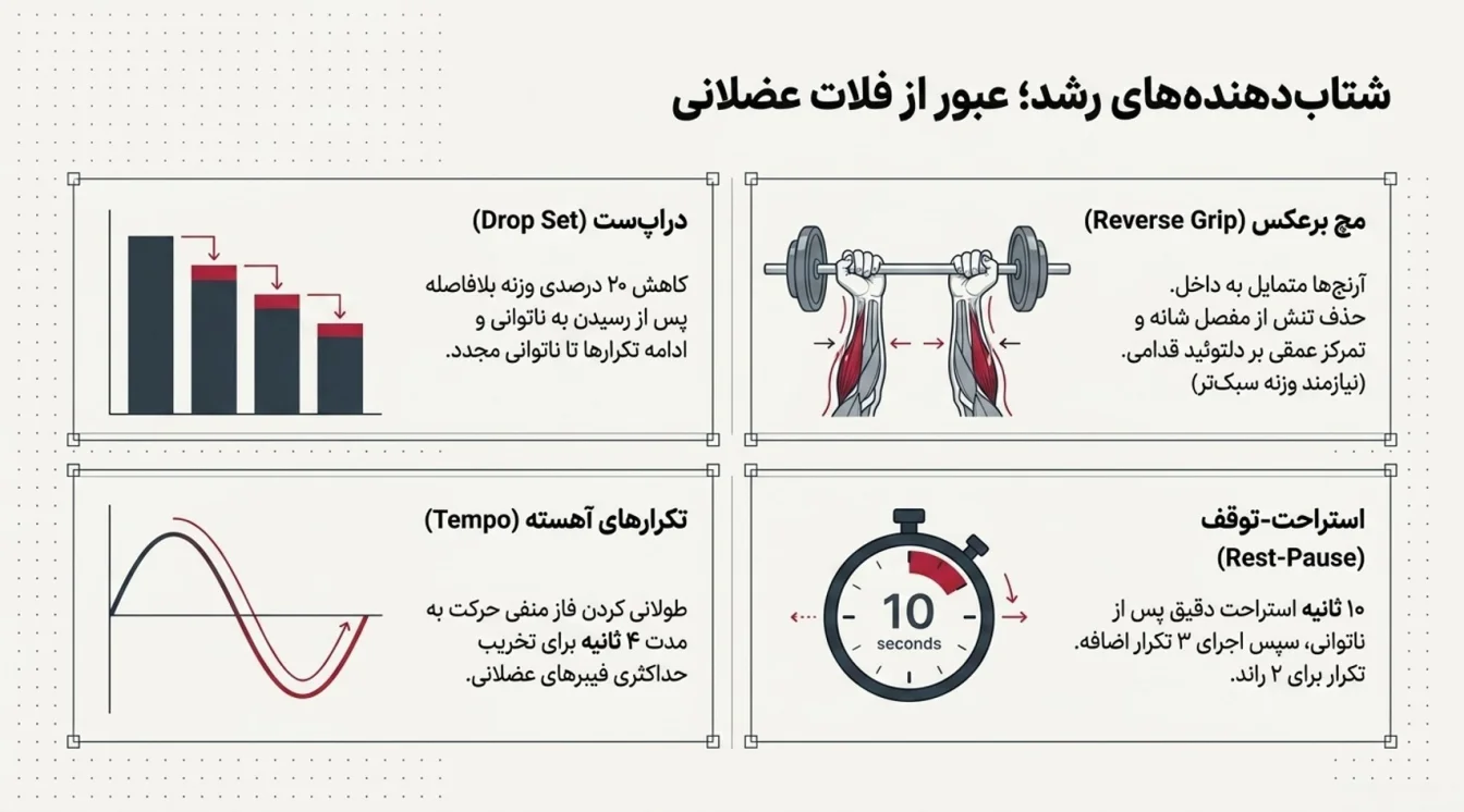 تکنیک های حرفهای برای رشد سریع عضلات شانه
