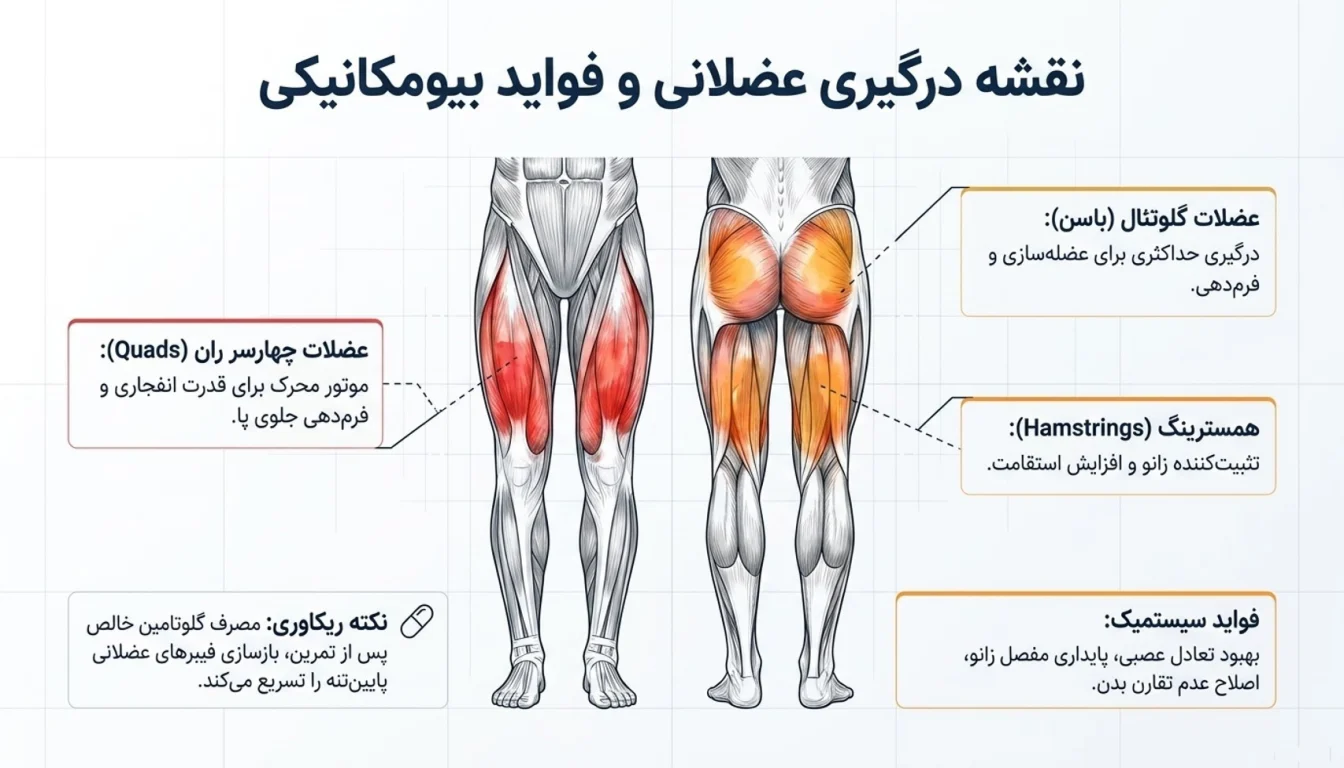 فواید و عضلات درگیر در لانچ دمبل ثابت-لانچ دمبل-حرکت لانگز-حرکت لانگ
