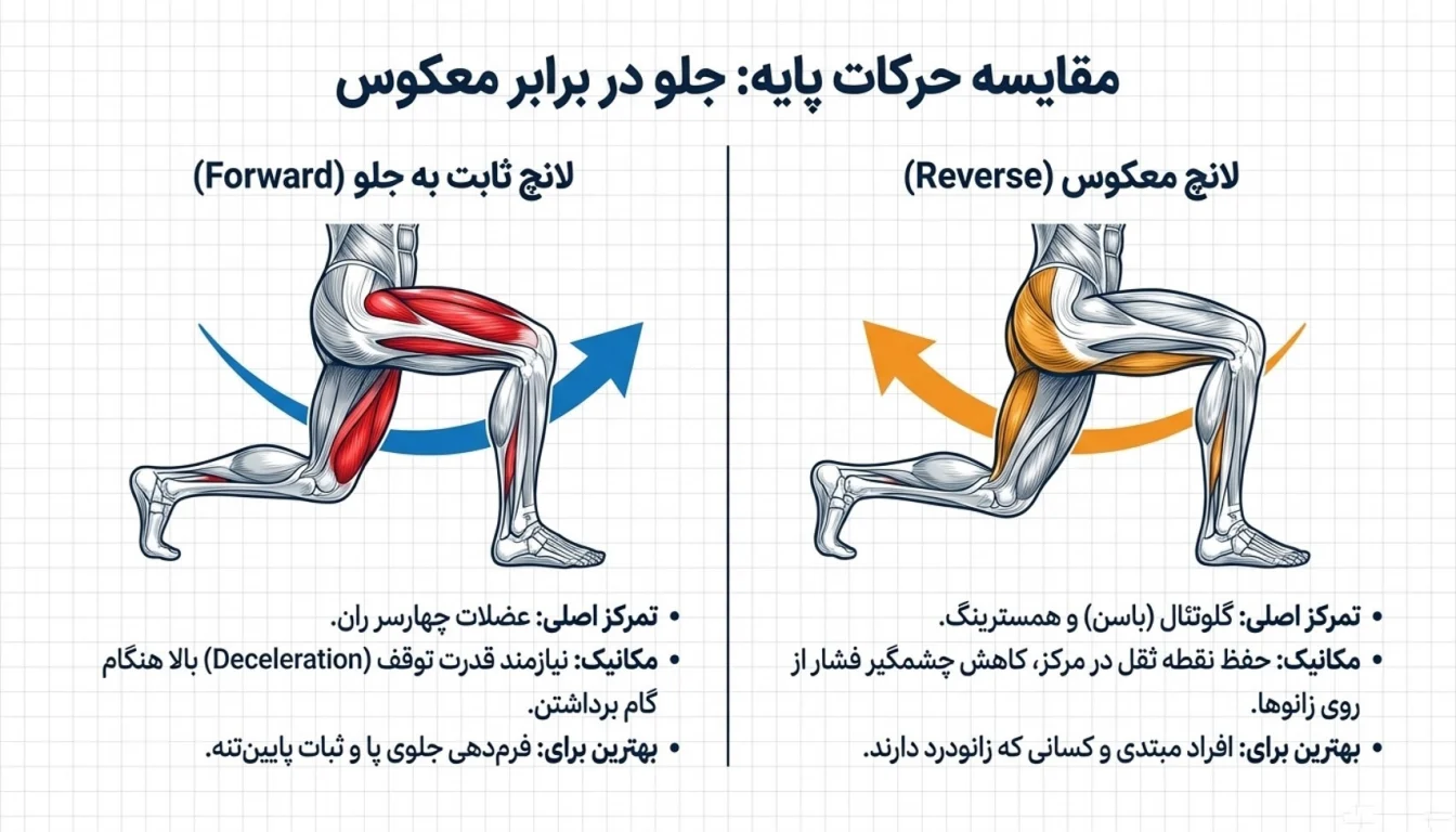 لانچ دمبل ثابت-حرکت لانچ ثابت به جلو (Forward Lunge)-حرکت لانچ-حرکت لانگ