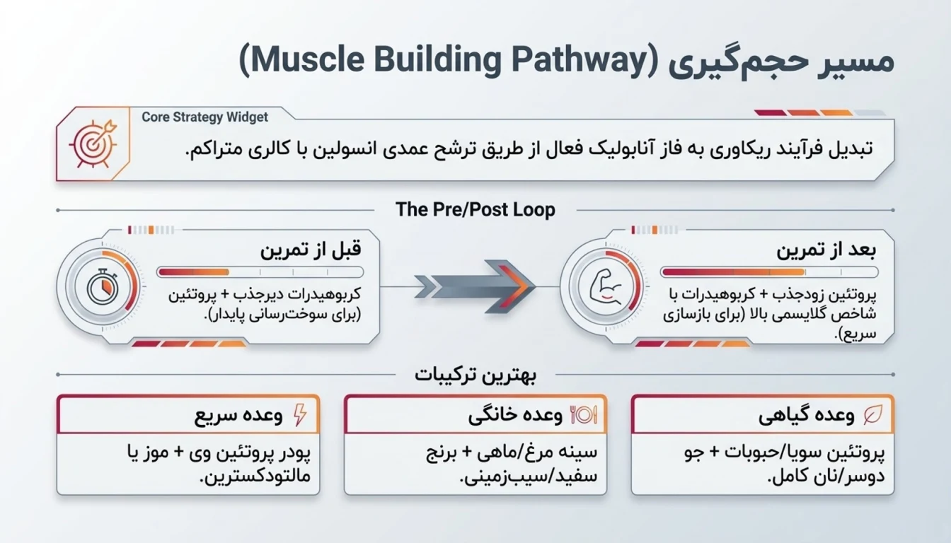 تغذیه بعد از ورزش برای عضله سازی و افزایش حجم