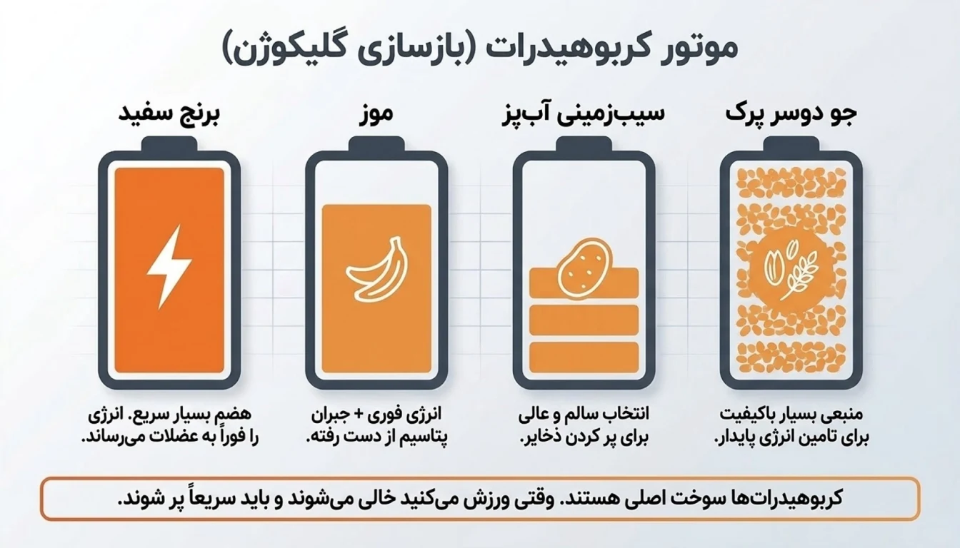 نقش کربوهیدرات ها در بازسازی انرژی