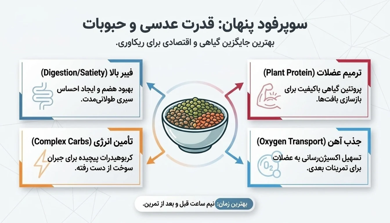 فواید عدسی بعد از باشگاه-عدسی بعد از باشگاه