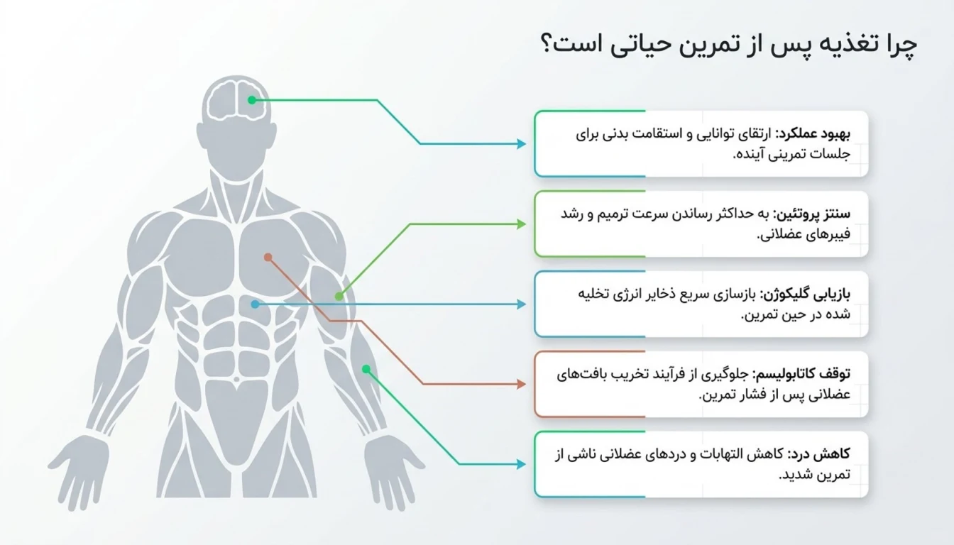 چرا تغذیه بعد از تمرین حیاتی است؟