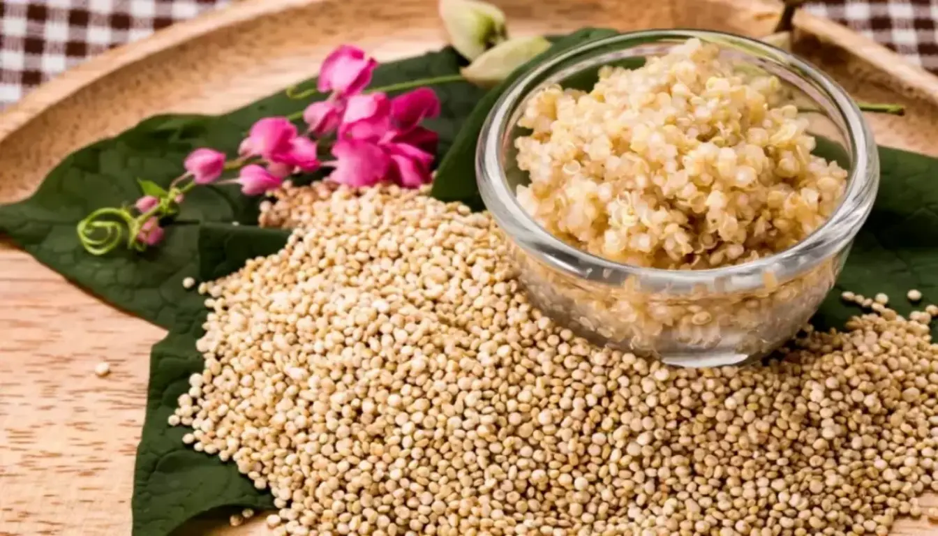 طریقه مصرف کینوا برای لاغری | 4 طریقه مصرف + نکات مهم