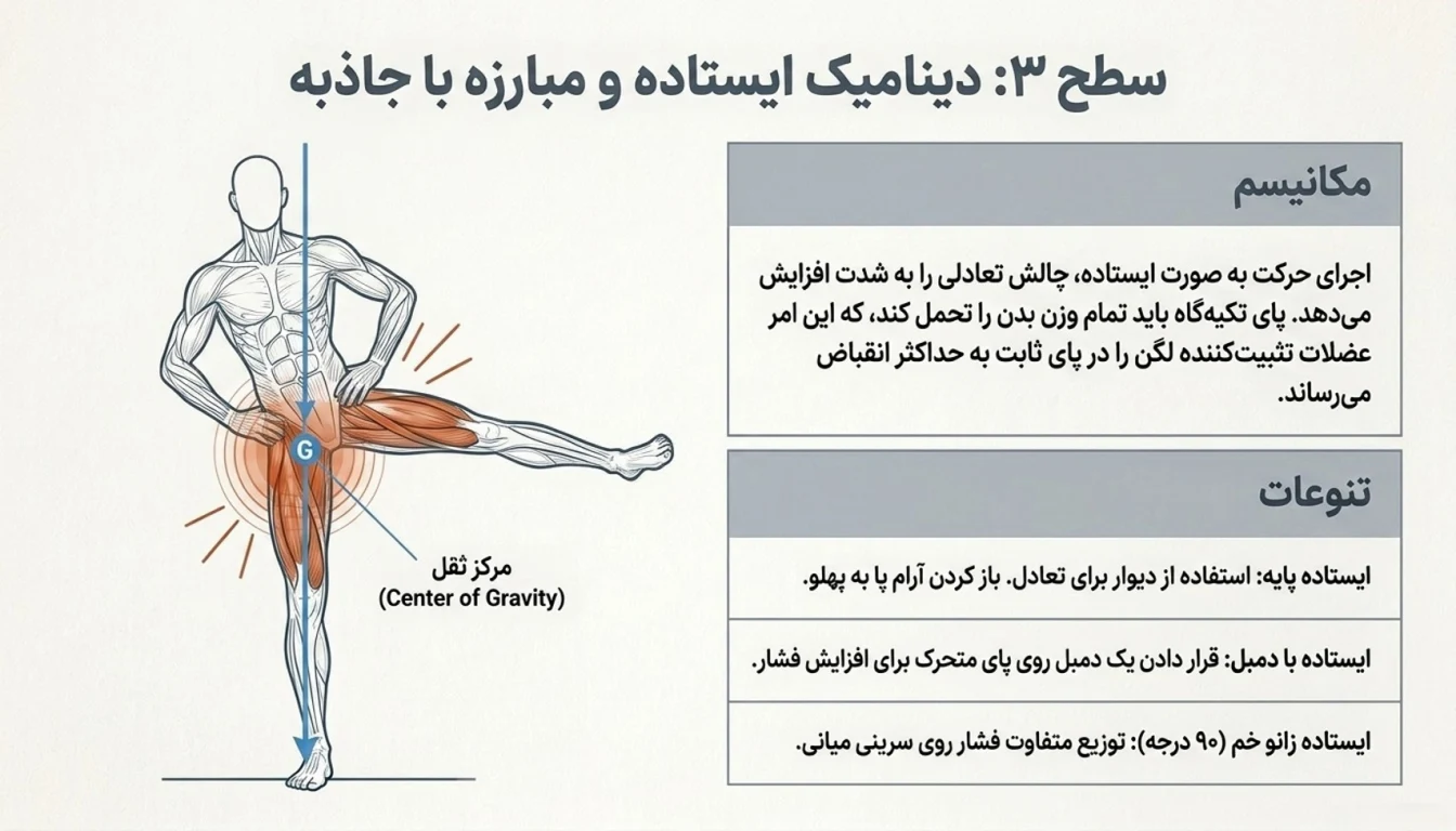 تمرینات خارج ران صفحه به صورت ایستاده