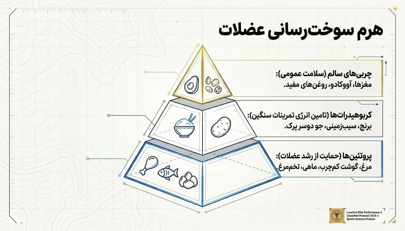 مواد غذایی اصلی در رژیم درک لانسفورد