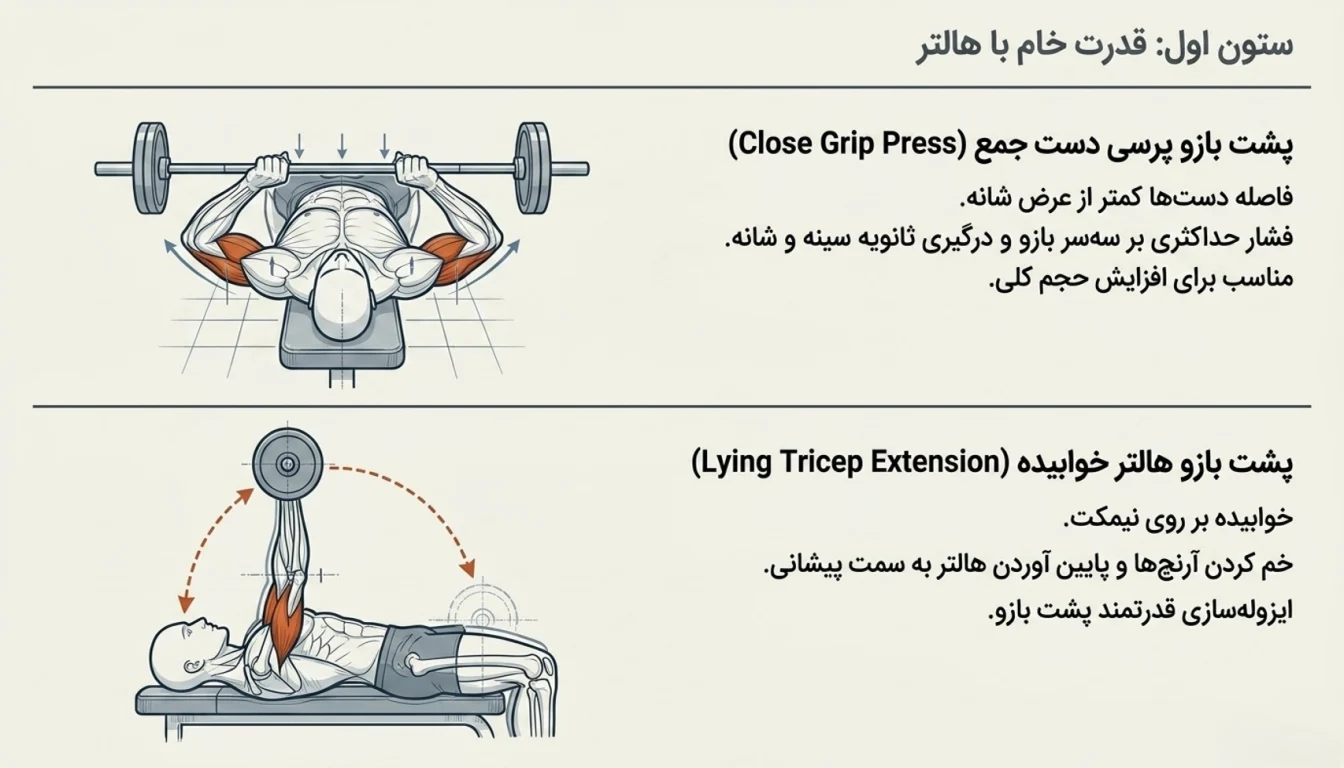 پشت بازو هالتر خوابیده