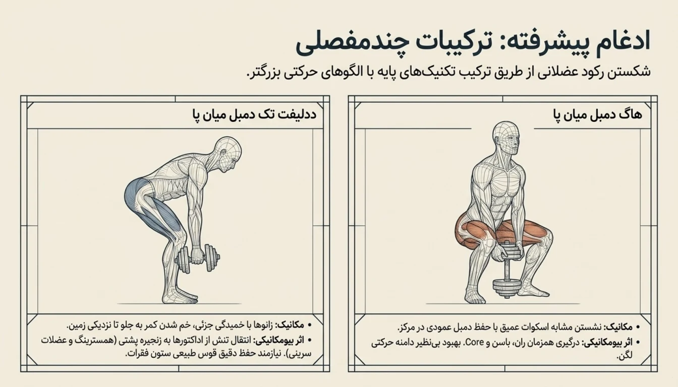 هاگ دمبل میان پا