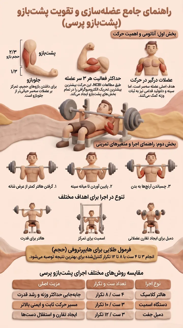 راهنمای کامل حرکت پشت بازو پرسی