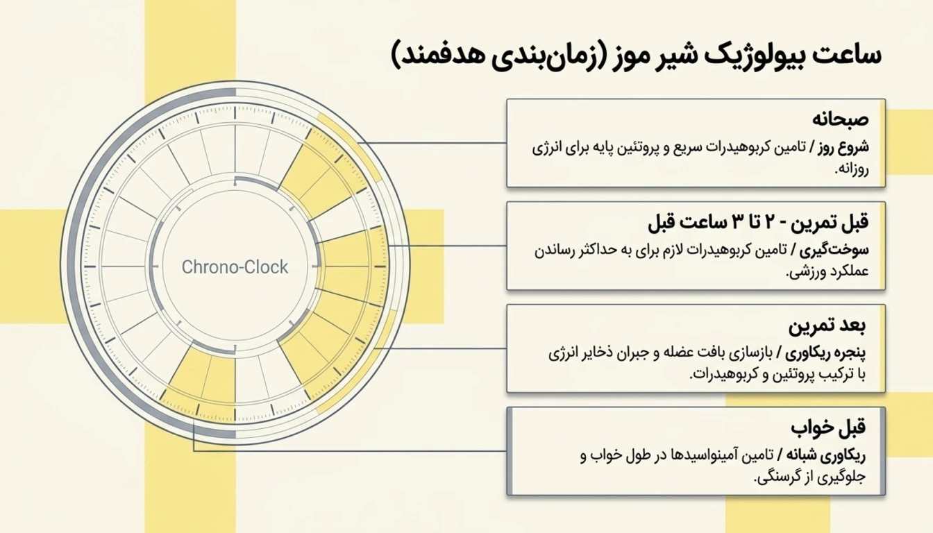 بهترین زمان مصرف شیر موز-پارسی پودر-زمان مصرف شیرموز-پارسی پودر