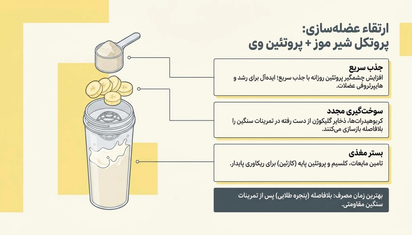 پروتئین وی با شیر موز-شیر موز با پروتئین وی-پارسی پودر