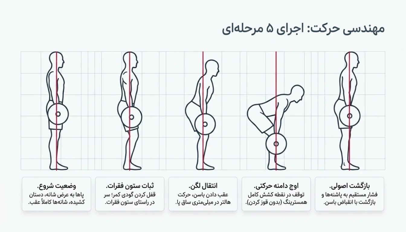 مراحل اجرای صحیح حرکت پشت پا هالتر