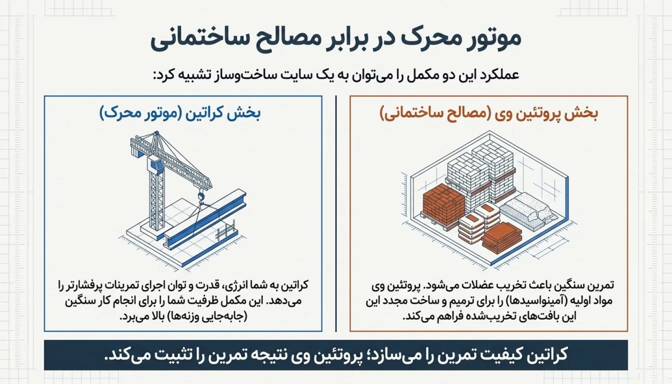 مقایسه کراتین و پروتئین وی-تفاوت کراتین و وی-کراتین بهتره یا وی-پارسی پودر