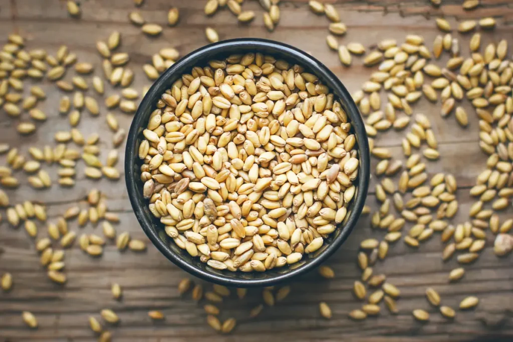 جوانه گندم برای چاقی پودر جوانه گندم