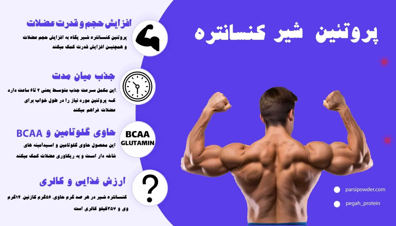 پروتئین وی پگاه یا کازئین