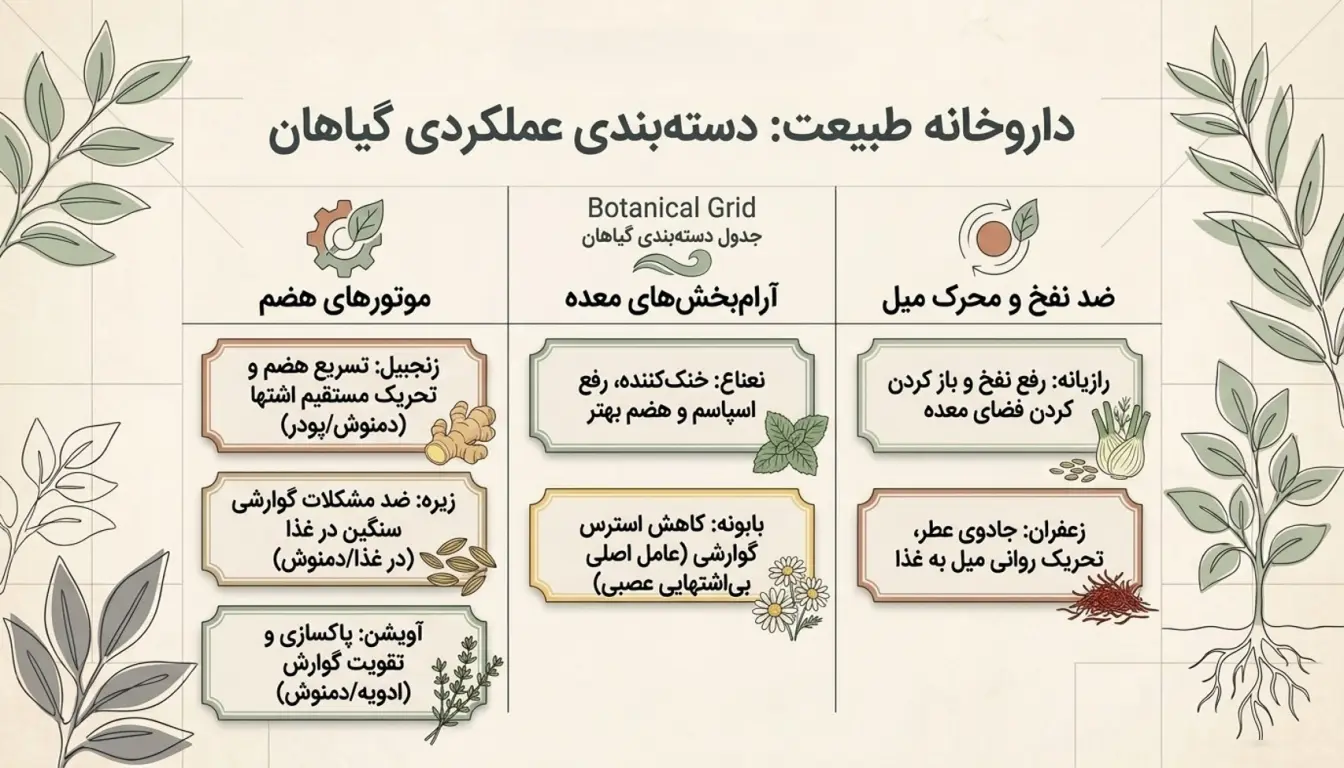 گیاهان اشتها اور و چاق کننده-افزایش اشتها طبیعی-پارسی پودر