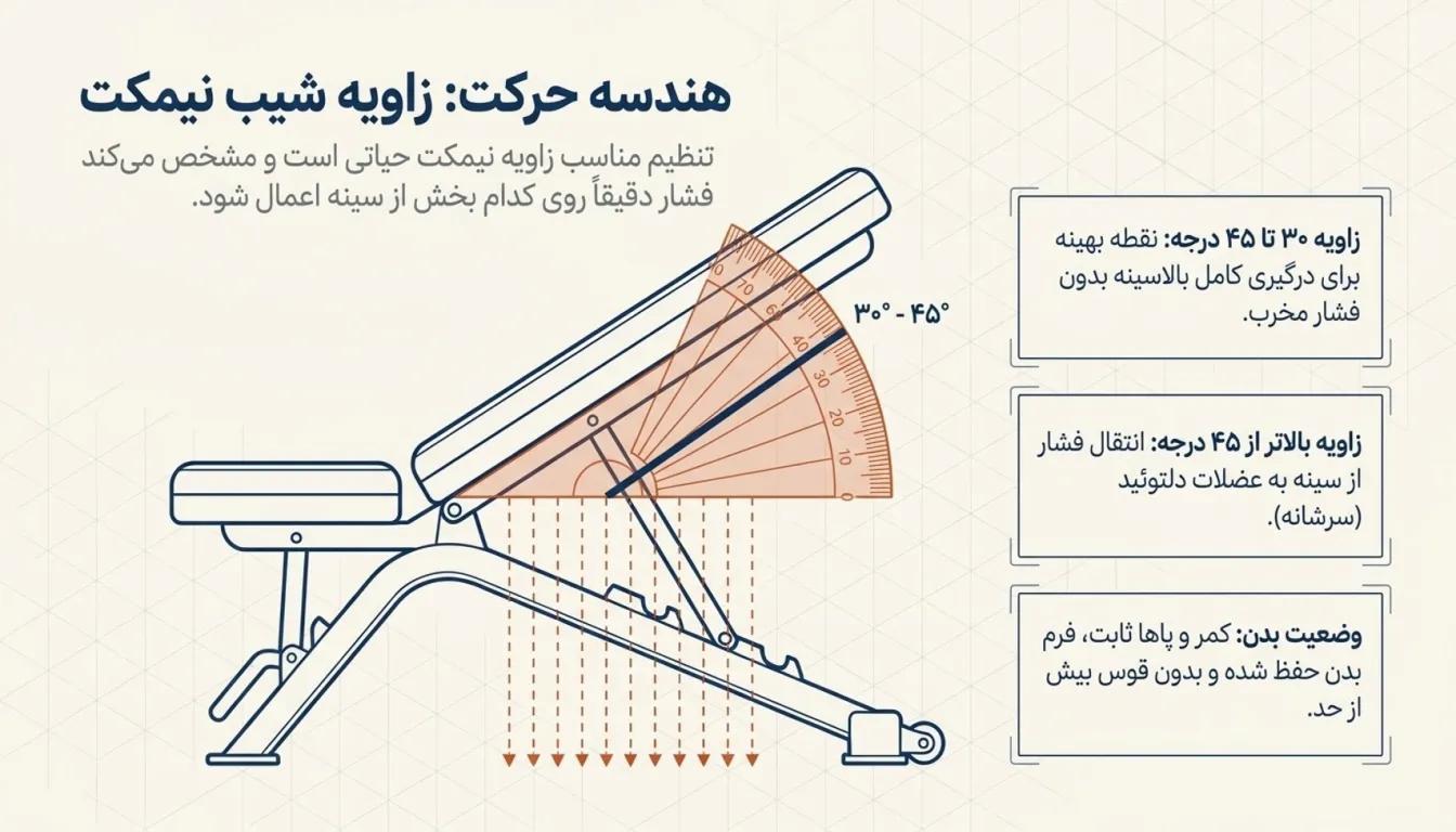 زاویه نیمکت در حرکت بالا سینه دمبل-پارسی پودر