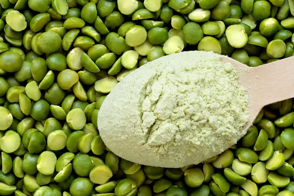 بهترین مکمل های گیاهی بدنسازی