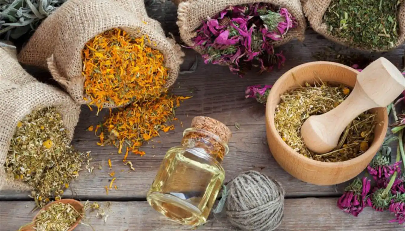 راه های خانگی افزایش اشتها + افزایش اشتها با طب سنتی
