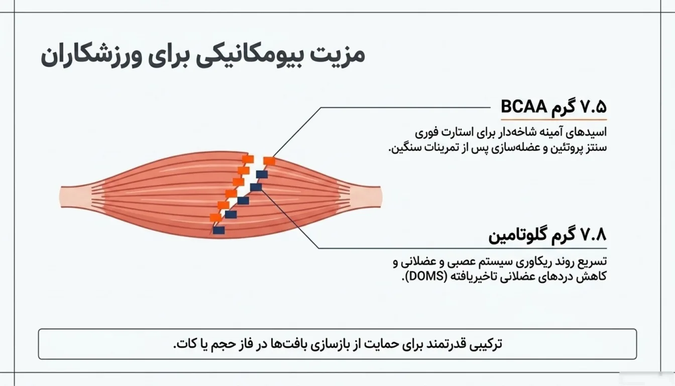 فواید پروشیر کاله برای بدنسازی-پارسی پودر