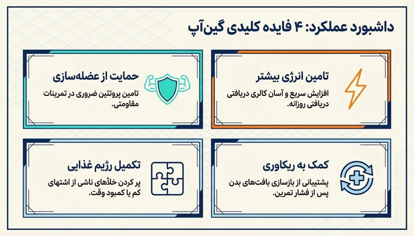 فواید پودر چاقی گین آپ-مزایای پودر گین آپ-گین آپ برای چی خوبه-پارسی پودر