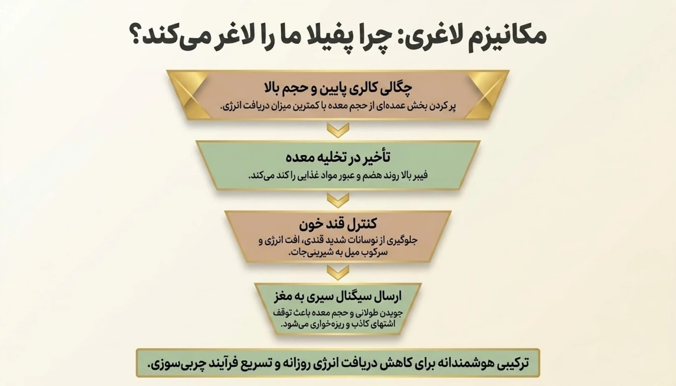 چرا پفیلا یک گزینه عالی برای کاهش وزن است؟