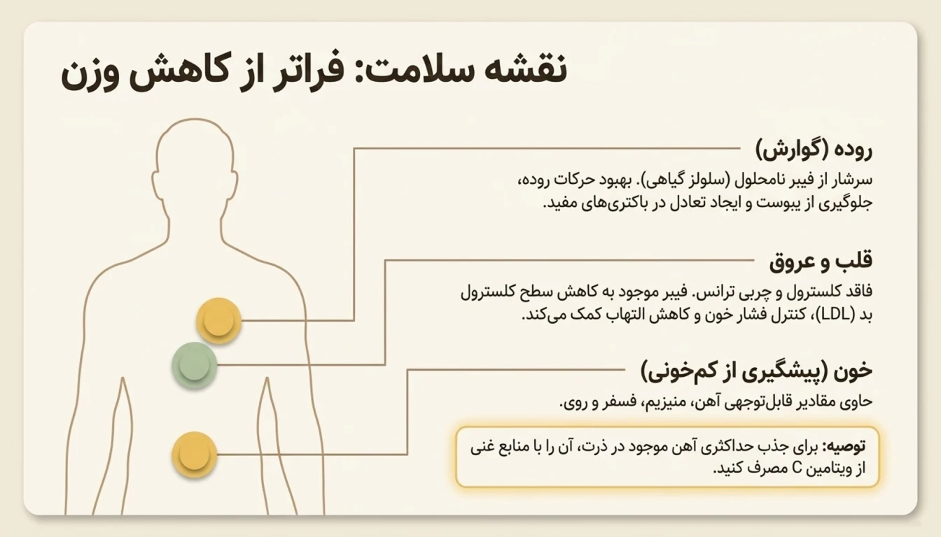 فواید مصرف پفیلا چیست؟