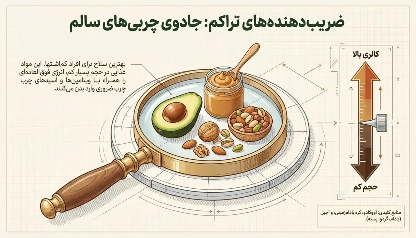 آووکادو؛ منبع چربی سالم و کالری بالا-چربی های مفید-غذا های چاق کننده-پارسی پودر