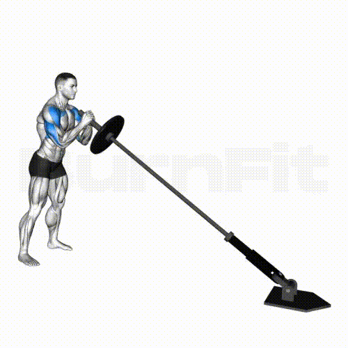 لندماین هالتر ایستاده, مجله پارسی پودر