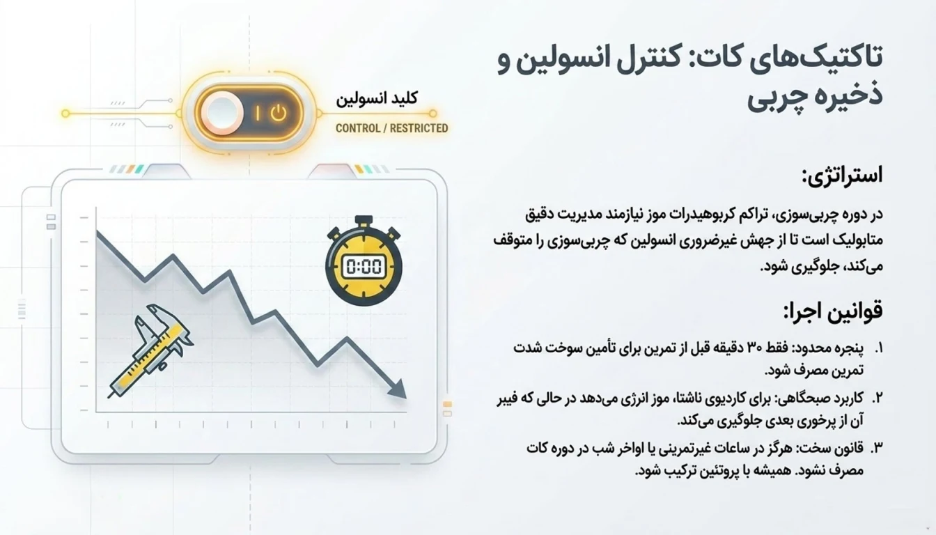 موز برای لاغری و چربی سوزی-بهترین زمان خوردن موز برای لاغری