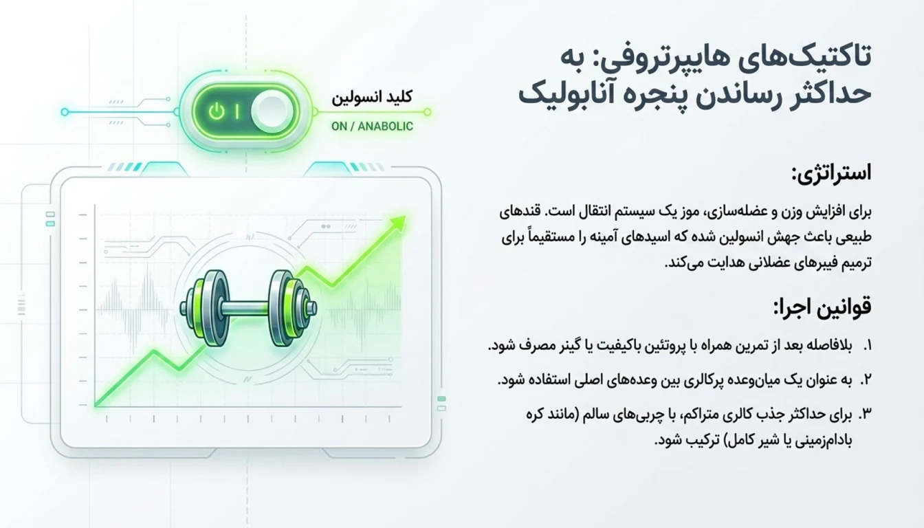 موز برای افزایش حجم و عضله سازی