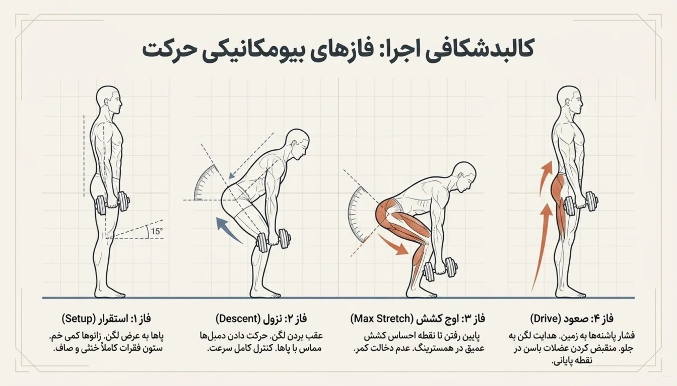 مراحل اجرای پشت ران دمبل رومانیایی-آموزش پشت ران دمبل رومانیایی-پارسی پودر