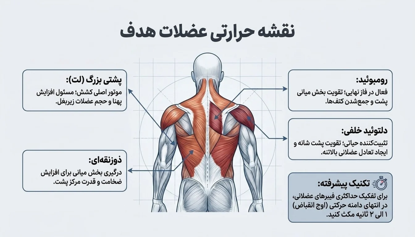 عضلات هدف در حرکت زیر بغل قایقی