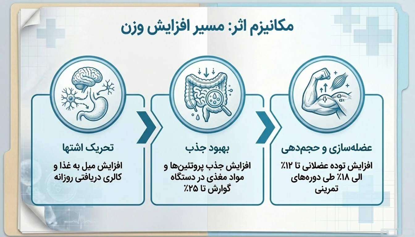 فواید پودر چاقی اپل