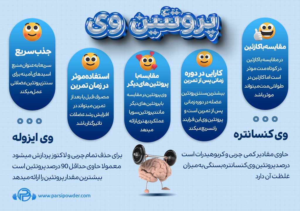 تفاوت پروتئین وی و کازئین, مجله پارسی پودر