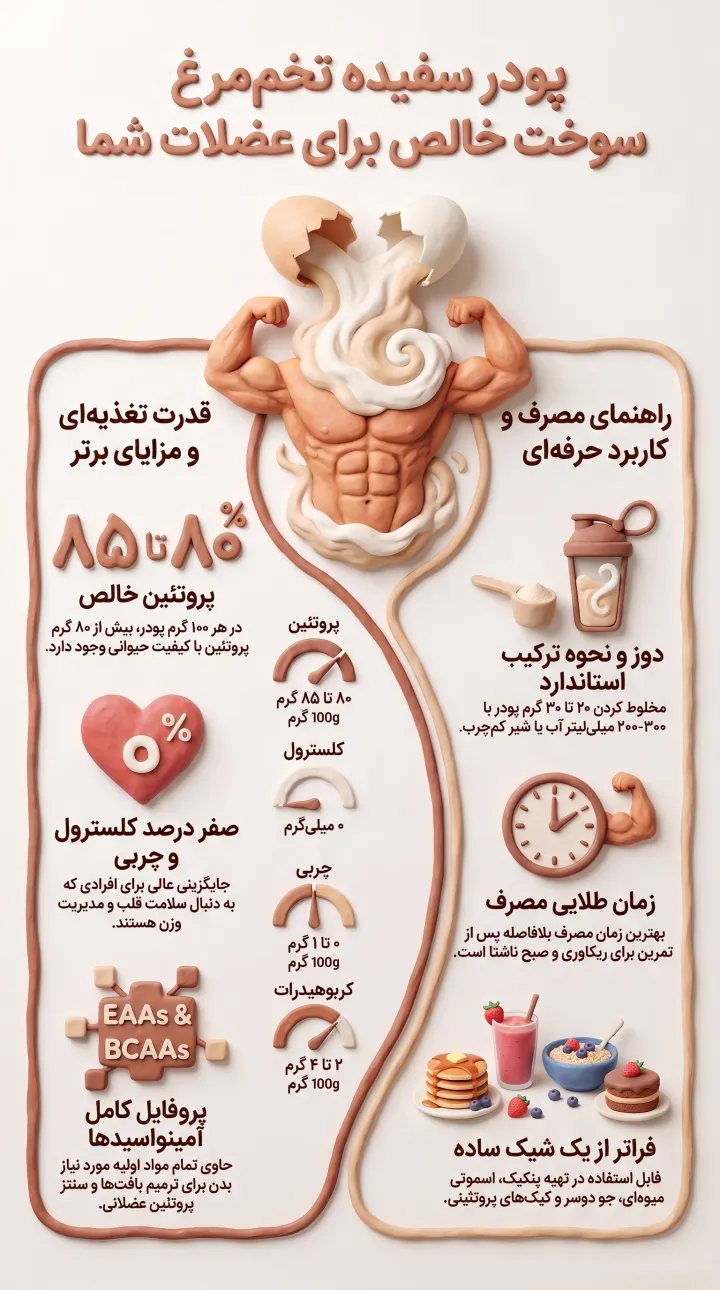 فواید پودر سفیده تخم مرغ-پودر سفیده تخم مرغ